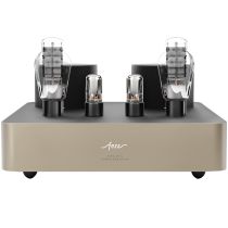 Fezz Mira Ceti Mono Power Amplifier eindversterker Sunlight